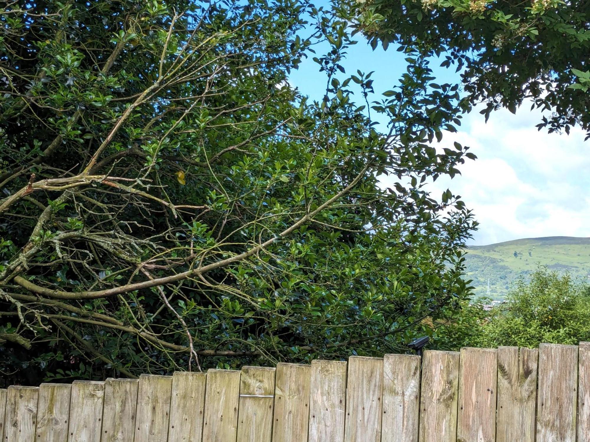 Heart Of Belfast With Private Garden Vila Exterior foto